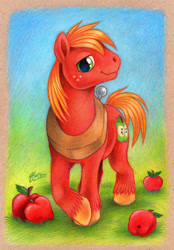 Size: 600x864 | Tagged: safe, artist:macgreen, big macintosh, earth pony, pony, apple, male, smiling, solo, stallion