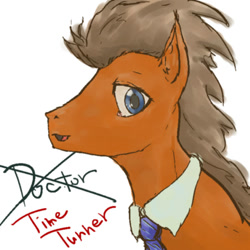 Size: 700x700 | Tagged: safe, artist:sasho1223, doctor whooves, necktie, pixiv, solo