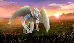 Size: 1300x760 | Tagged: safe, artist:skyeypony, oc, oc only, oc:morning dew, cloud, cloudy, crepuscular rays, featureless crotch, flower, grass, lens flare, looking back, meadow, mountain, scenery, scenery porn, sky, solo, spread wings, sunset