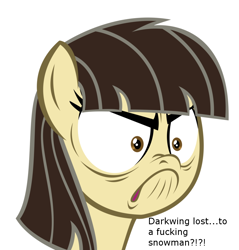 Size: 874x914 | Tagged: safe, wild fire, caption, darkwing duck, do i look angry, obligatory pony, solo, swearing, video game, vulgar