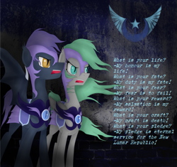 Size: 613x577 | Tagged: safe, artist:alcia526, artist:alica526, oc, oc only, bat pony, pony, armor, motto, new lunar republic, night guard, pledge