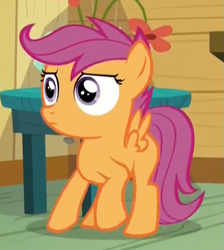 Size: 571x637 | Tagged: safe, screencap, scootaloo, pegasus, pony, bloom and gloom, cropped, female, filly, foal, i need an adult, i've seen some shit, solo