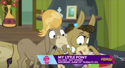 Size: 931x512 | Tagged: safe, screencap, cranky doodle donkey, matilda, donkey, slice of life (episode), crankilda