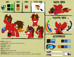 Size: 1011x790 | Tagged: safe, artist:h-stallionwolf, oc, oc only, oc:marker pace, pegasus, pony, belly button, cute, cutie mark, goggles, male, painter, racer, reference sheet, solo, speed, stallion