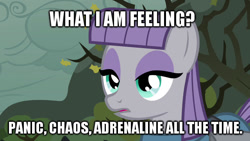 Size: 640x360 | Tagged: safe, derpibooru import, maud pie, image macro, meme, solo