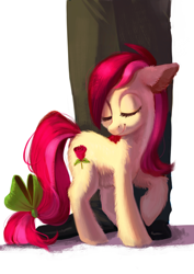 Size: 2122x3000 | Tagged: safe, artist:lis-alis, roseluck, earth pony, human, pony, behaving like a cat, bow, cute, eyes closed, female, floppy ears, fluffy, mare, raised hoof, rubbing, smiling, solo focus, tail bow