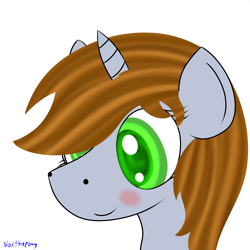 Size: 2500x2500 | Tagged: safe, artist:asknoxthepony, oc, oc only, oc:littlepip, pony, unicorn, fallout equestria, blushing, bust, fanfic, fanfic art, female, horn, lightbringer, mare, portrait, simple background, solo, white background