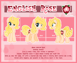 Size: 3842x3140 | Tagged: safe, artist:xwhitedreamsx, oc, oc only, oc:english rose, ponysona, reference sheet