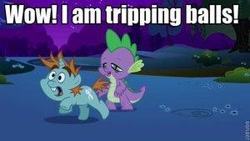 Size: 300x169 | Tagged: safe, screencap, snips, spike, dragon, image macro, meme, picture for breezies, stoner spike, text