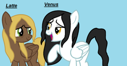 Size: 1287x669 | Tagged: safe, artist:t-mack56, compass star, mercury, starry eyes (character), background pony, rule 63, venus (rule 63 mercury)