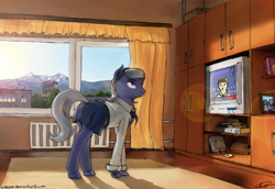Size: 3859x2651 | Tagged: safe, artist:apocheck13, oc, oc only, clothes, house, indoors, modern, russian, solo, television