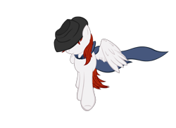 Size: 1024x744 | Tagged: safe, artist:yooyfull, oc, oc only, oc:miles, alicorn, pony, alicorn oc, cloak, clothes, hat, hidden eyes, simple background, solo, transparent background