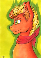 Size: 1741x2447 | Tagged: safe, artist:stirren, oc, oc only, oc:wingybullet, pegasus, pony, bust, portrait, present, solo