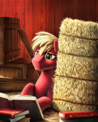 Size: 1200x1500 | Tagged: safe, artist:chryseum, big macintosh, earth pony, pony, book, hay, hay bale, male, reading, solo, stallion