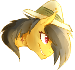 Size: 500x469 | Tagged: safe, artist:thelionmedal, daring do, pony, mane, solo