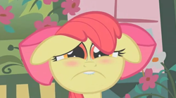 Size: 636x354 | Tagged: safe, screencap, apple bloom, call of the cutie, season 1, blushing, bucktooth, floppy ears, lip bite, sad, sad face