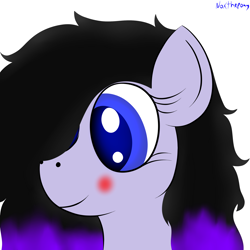 Size: 2500x2500 | Tagged: safe, artist:asknoxthepony, oc, oc only, oc:alexandra, bust, portrait, request, solo