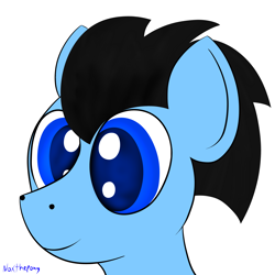 Size: 2500x2500 | Tagged: safe, artist:asknoxthepony, oc, oc only, oc:mark, bust, portrait, request, solo