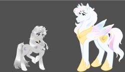 Size: 1041x598 | Tagged: safe, artist:passionateshadow, oc, oc only, pegasus, pony, unicorn, fake alicorn, fake horn, fantasy class, female, knight, male, mare, monochrome, paladin, stallion, sunshine, warrior