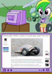 Size: 564x800 | Tagged: safe, tank, oc, oc:wheely bopper, original species, tortoise, exploitable meme, meme, news, obligatory pony, tv meme, wheelpone