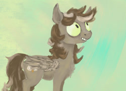 Size: 1100x800 | Tagged: safe, oc, oc only, oc:owl eyes, pegasus, pony, cyoa:cutie clash, messy mane, solo, wide eyes