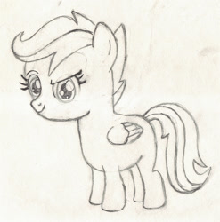 Size: 1977x2003 | Tagged: safe, artist:chronicle23, scootaloo, pegasus, pony, filly, monochrome, solo, traditional art