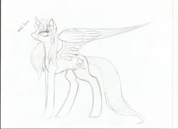 Size: 1024x744 | Tagged: safe, artist:samradizdarevic, oc, oc only, oc:spring beauty, alicorn, pony, alicorn oc, monochrome, solo, traditional art