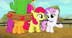 Size: 475x248 | Tagged: safe, screencap, apple bloom, scootaloo, sweetie belle, appleoosa's most wanted, cactus hat, candy apple (food), cutie mark crusaders, giant hat, hat