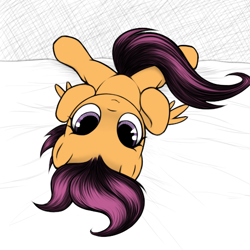 Size: 512x512 | Tagged: safe, artist:rainbow, artist:raindroppony, edit, scootaloo, cute, cutealoo, looking at you, on back, solo