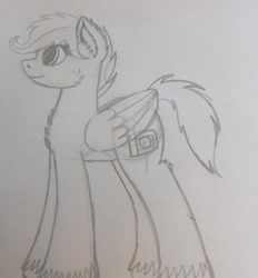 Size: 1797x1935 | Tagged: safe, artist:drawingsign1234, oc, oc only, oc:shutterbug, pegasus, pony, female, mare, monochrome, request, requested art, solo