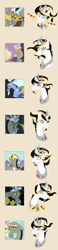 Size: 850x3675 | Tagged: safe, artist:shadobabe, discord, oc, oc:prince pax, hybrid, comparison, facial expressions, interspecies offspring, offspring, parent:discord, parent:princess celestia, parents:dislestia