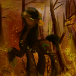 Size: 2500x2500 | Tagged: safe, artist:pedrohander, trouble shoes, appleoosa's most wanted, colored, digital art, forest, solo, that was fast