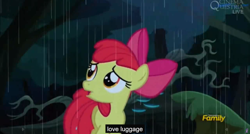 Size: 1600x855 | Tagged: safe, screencap, apple bloom, appleoosa's most wanted, meme, youtube caption