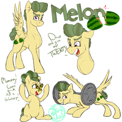 Size: 2000x2000 | Tagged: safe, artist:farewelldecency, oc, oc only, oc:melon, magical lesbian spawn, offspring, parent:fluttershy, parent:tree hugger, parents:flutterhugger, reference sheet