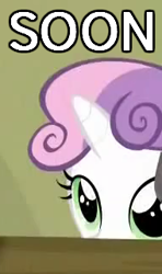 Size: 190x320 | Tagged: safe, sweetie belle, image macro, meme, solo, soon