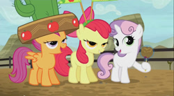 Size: 1280x713 | Tagged: safe, screencap, apple bloom, scootaloo, sweetie belle, appleoosa's most wanted, cactus hat, cutie mark crusaders, giant hat, hat, out of context