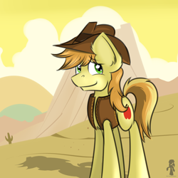 Size: 3000x3000 | Tagged: safe, artist:tehshockwave, braeburn, earth pony, pony, cowboy hat, male, solo, two toned mane