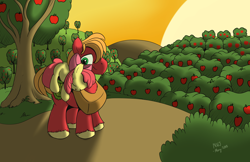 Size: 5100x3300 | Tagged: safe, artist:naivewolfjosh, apple bloom, big macintosh, earth pony, pony, male, ponies riding ponies, sleeping, stallion, sunset, sweet apple acres