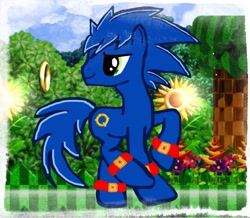 Size: 1145x1000 | Tagged: safe, artist:mileskiller70, ponified, solo, sonic the hedgehog, sonic the hedgehog (series)