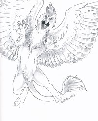 Size: 2472x3064 | Tagged: safe, artist:hbruton, oc, oc only, oc:serilde, griffon, monochrome, solo, traditional art