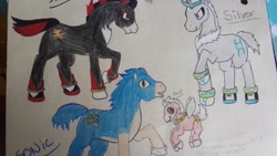 Size: 4128x2322 | Tagged: safe, artist:artistagal, pony, chip, irl, photo, ponified, shadow the hedgehog, silver the hedgehog, sonic the hedgehog, sonic the hedgehog (series), traditional art
