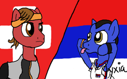 Size: 800x500 | Tagged: safe, artist:jyxia, tennis match, oc, finals, novak djoković, ponified, roger federer, serbia, switzerland, tennis, us open