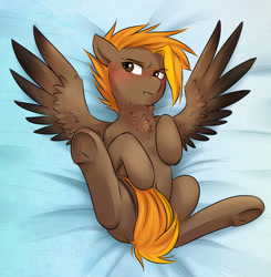 Size: 2121x2165 | Tagged: safe, artist:askbubblelee, oc, oc only, oc:singe, pegasus, pony, blushing, chest fluff, covering, ear fluff, embarrassed, on bed, solo, tail covering, underhoof