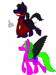 Size: 1944x2592 | Tagged: safe, artist:the dragon medic, oc, oc only, demon, bangles, bat wings, clothes, colored wings, dressed, duo, earring, horns, male, medic, multiple limbs, piercing, ponysona, shirt, unnamed oc, wings