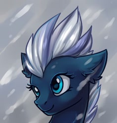 Size: 344x363 | Tagged: safe, artist:dragonataxia, night glider, pegasus, pony, bust, portrait, smiling, solo