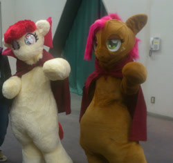 Size: 1280x1208 | Tagged: safe, artist:girlieginger, apple bloom, babs seed, fursuit, irl, japan, japan ponycon, photo