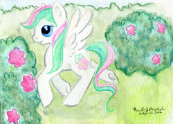 Size: 4140x2968 | Tagged: safe, artist:rayechu, blossomforth, nature, solo, traditional art