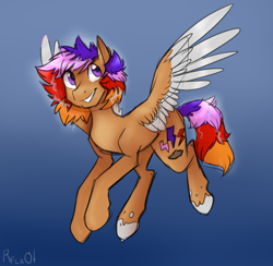 Size: 1024x999 | Tagged: safe, artist:rflzqt, oc, oc only, oc:storm chaster, pegasus, pony, male, solo, stallion