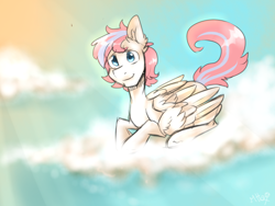 Size: 1024x768 | Tagged: safe, oc, oc only, oc:arisen, oc:rising spirit, pegasus, pony, cloud, male, wings