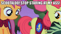 Size: 891x500 | Tagged: safe, screencap, apple bloom, scootaloo, stare master, image macro, meme